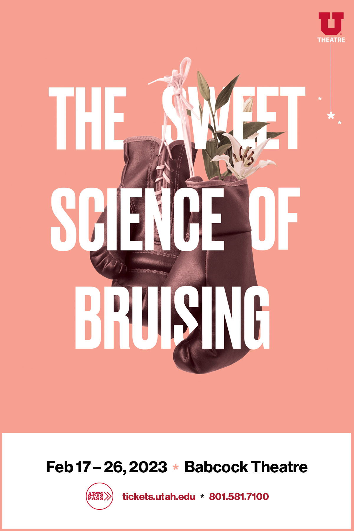 The Sweet Science of Bruising