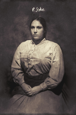 polly_seated_dag_auto_sm